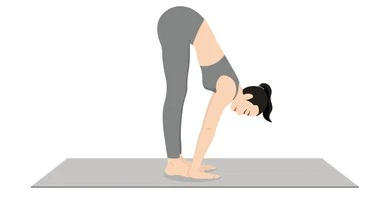 Image of Forward Fold Stretch