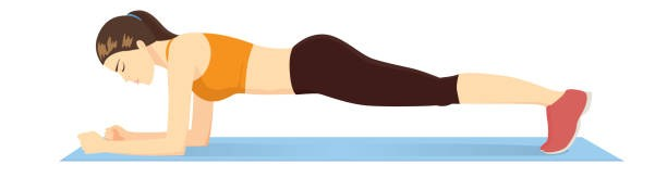 Image of Low Plank Stretch